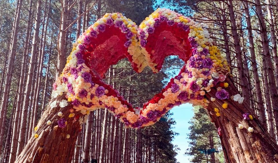 Rumors Of Changes For Electric Forest S 10th Anniversary Celebration