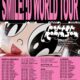 Porter Smile World Tour 2024-2025 poster dates with black/pink design.